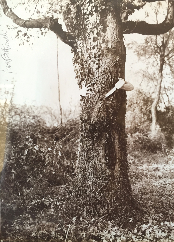 Dal museo archeoideologico: una foto di Furio